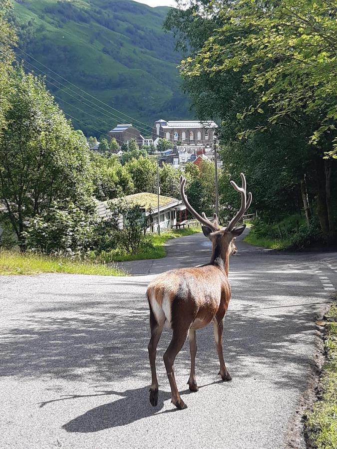 Riverside Pod, West Highland Way Holidays Kinlochleven Buitenkant foto